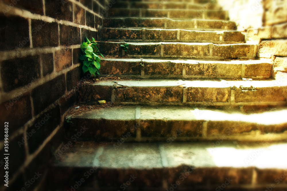 Fototapeta old brick steps are overgrown with green leaf