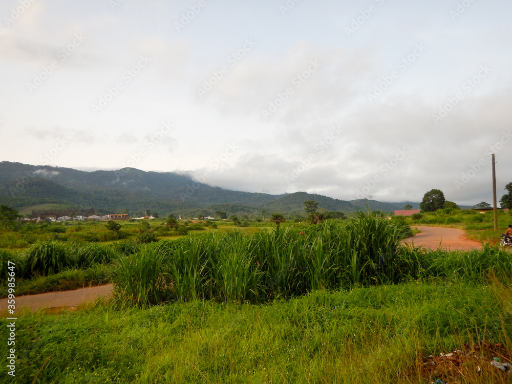 Obraz premium West Africa, Liberia, Yekepa, 9 of June 2015. Beautiful view on Yekepa town from the bush. Mountains are situated close to Guinea country border.