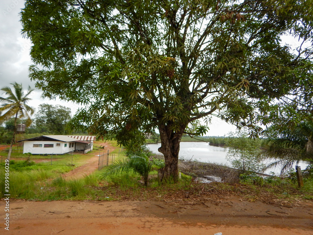 Fototapeta premium West Africa, Liberia, Yekepa, 4 of July 2015. View on lake in the bush. Beautiful house for living for expatriate workers. Good conditions provided for foreign specialists in mining business.