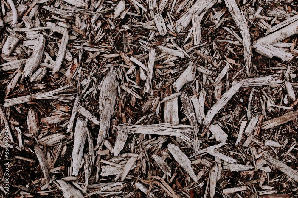Wood chip pieces on the ground in different shapes and sizes. Natural texture background in the forest. 