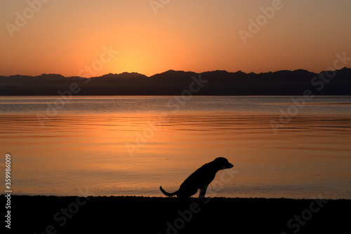 sunrise in sinai