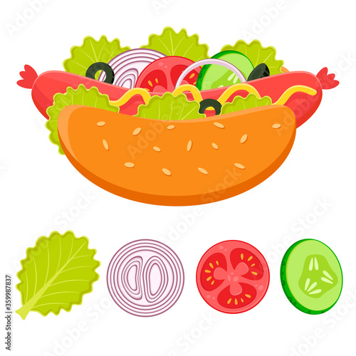 Flat vector illustration of hot dog and ingredients. Fast food concept. Hotdog with sausage and vegetables. Salad leaves, lettuce, slice of tomato, onion and cucumber, olives, mustard