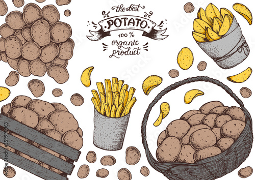 Potato vector illustration. Box and bag of potatoes. French fries, rustic potatoes and chips hand drawn. Engraved style illustration. Packaging design.