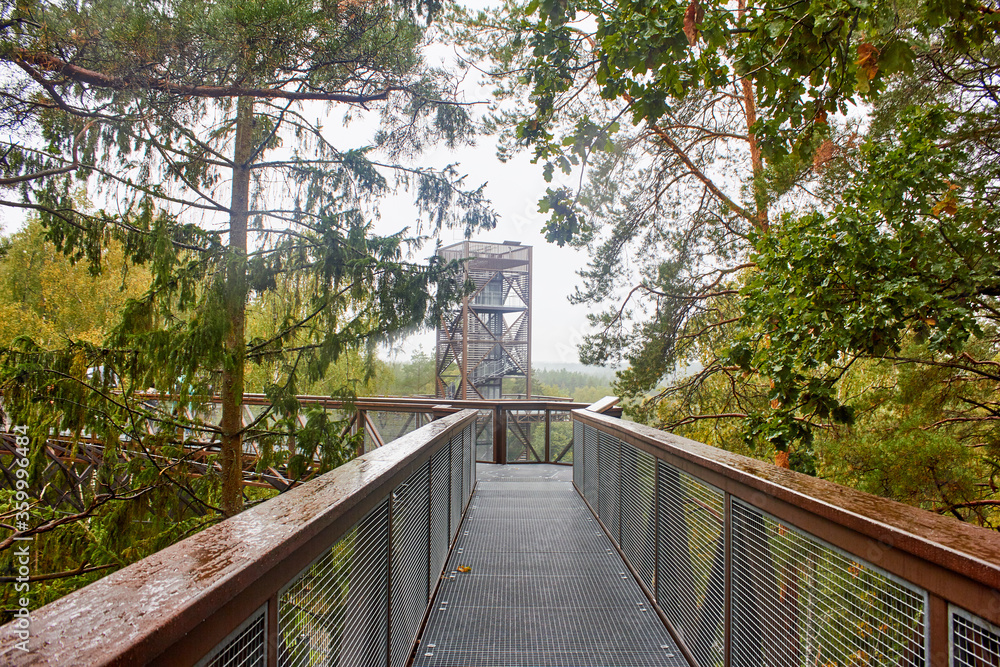Footbridge in the forest with tower at the end.