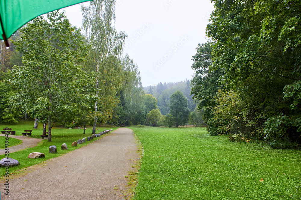 Fototapeta premium Path in the park on a rainy day