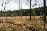 The Skuleskogen National Park in Sweden