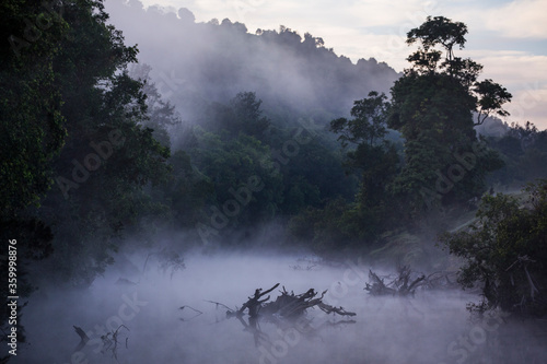 Early morning fog rises through the trees over the Mary River photo