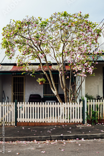 Front of old semi home photo