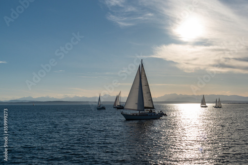 Sailboats in late day sun on Puget Sound.