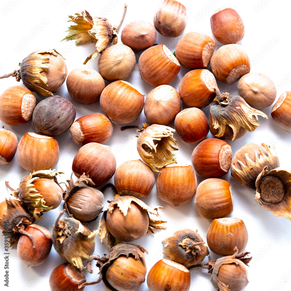 Hazelnuts isolated on white. Bright hazelnuts. Hazelnuts isolated on white. Bright hazelnuts.