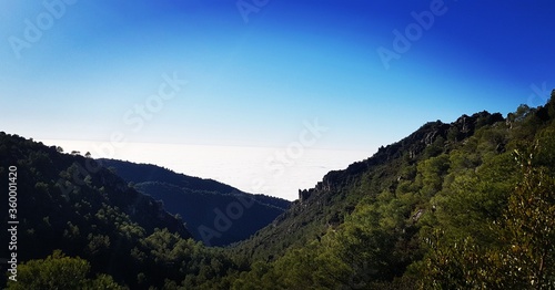 panorama of the mountains