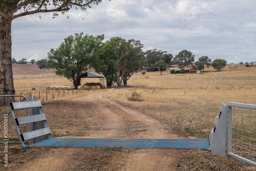 Cattle Grid photo