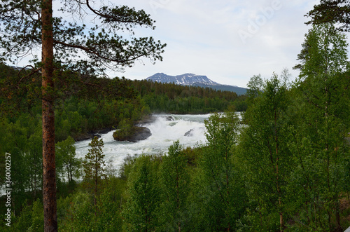 long majestic fast paced river in forest landscape