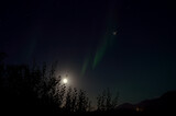 aurora borealis dancing over forest on a full moon autumn night