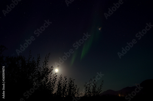 aurora borealis dancing over forest on a full moon autumn night