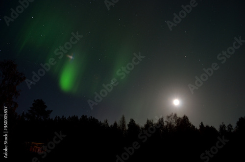 aurora borealis dancing over forest on a full moon autumn night © Arcticphotoworks