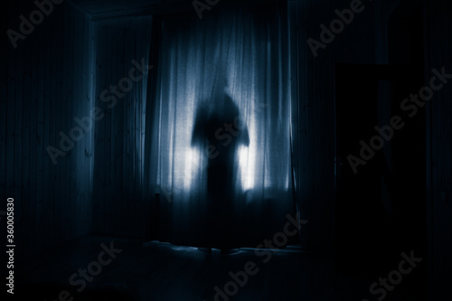 Obraz na płótnie Horror woman in window wood hand hold cage scary scene halloween concept Blurred silhouette of witch