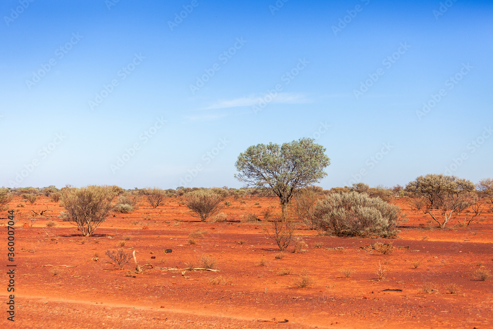 Red earth and outback desert of Western Australia Red earth and outback desert of Western Australia