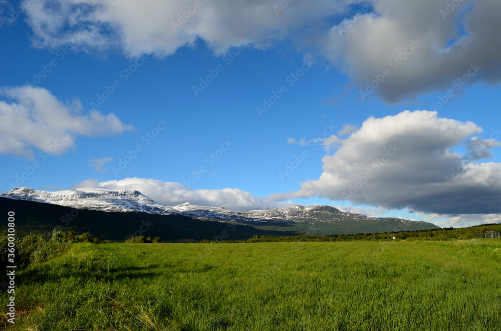 green pasture, snowy mountain and blue sky