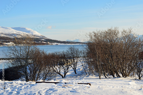 snowy sea shore with blue fjord and snowy mountain peak