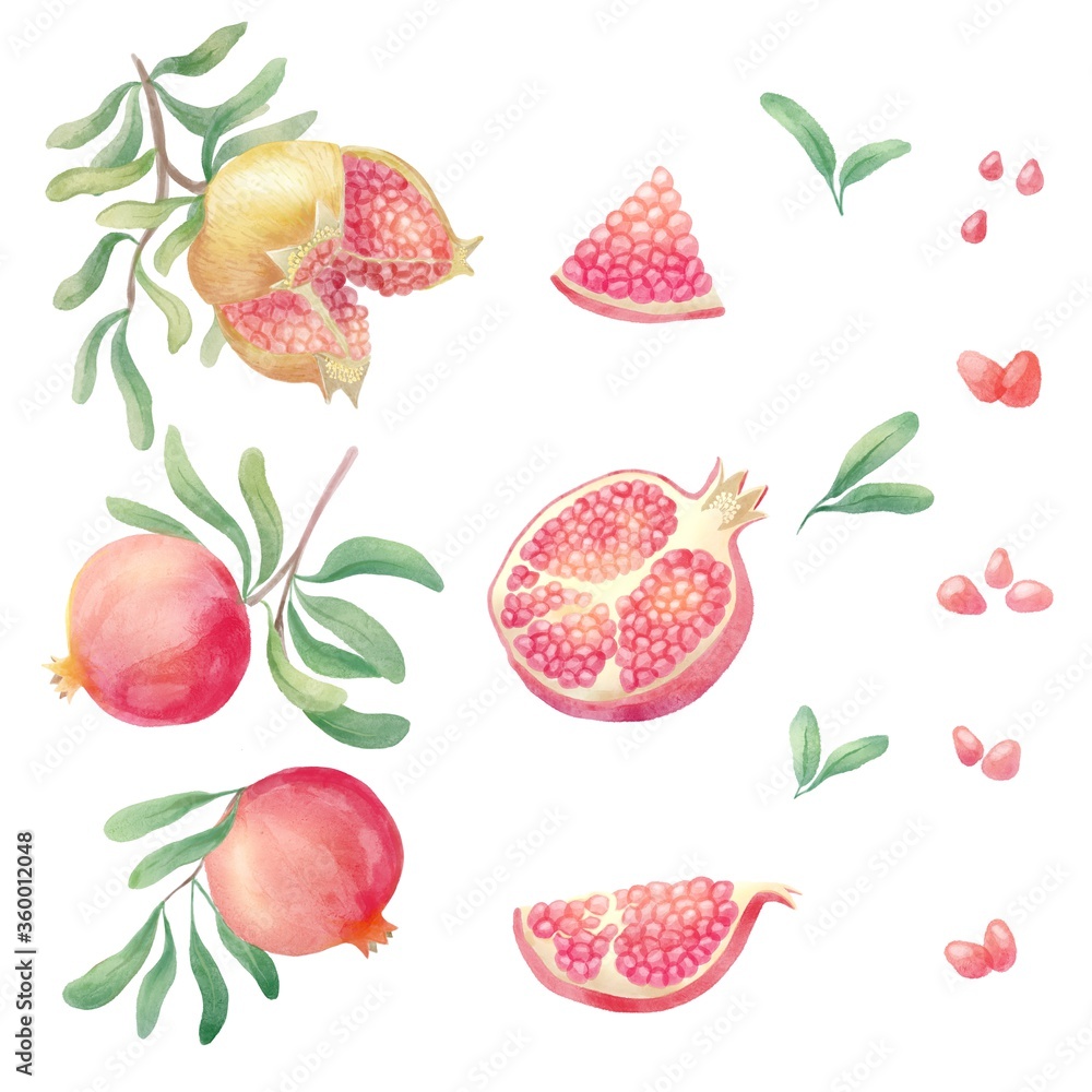 Set of pomegranate fresh fruit, half and section, leaves and grain. Watercolor pomegranate pattern. Fruits isolated on white background Set of pomegranate fresh fruit, half and section, leaves and grain. Watercolor pomegranate pattern. Fruits isolated on white background