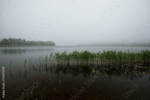 jezioro we mgle 