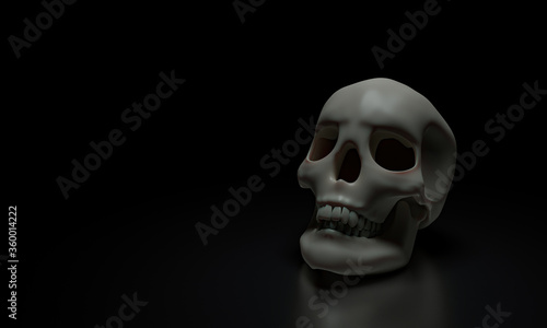 Human skull model, clean skull head, placed on a shiny surface, and a black background. 3D Rendering