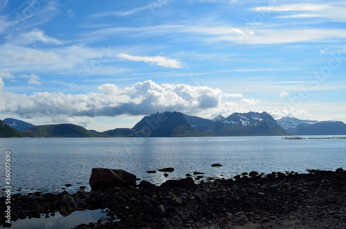 summer mountain and fjord landscape in northern norway