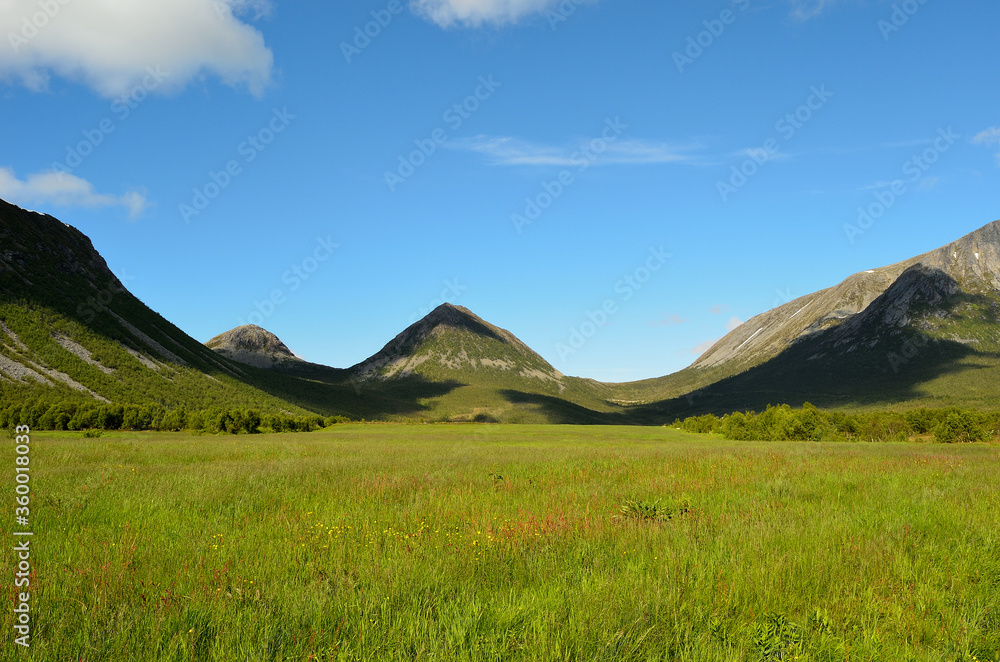 beautiful valley and green field in summer
