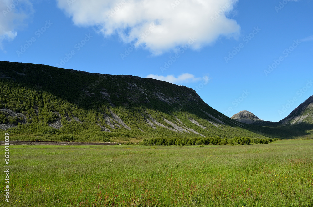 beautiful valley and green field in summer