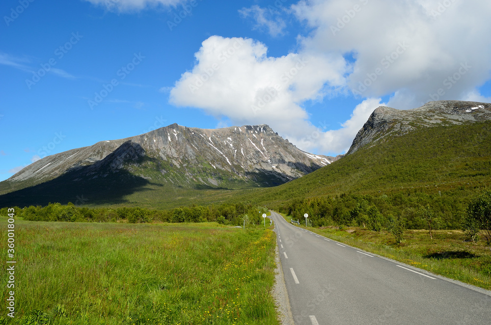 road going through valley landscape in summer