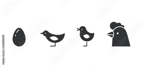 Silhouettes of chicken growth stages from egg to adult bird