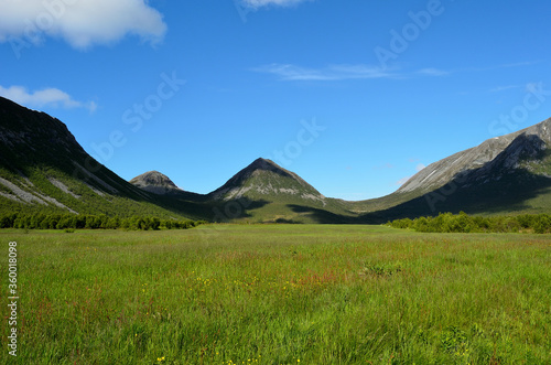 lush green deep valley and field in summer © Arcticphotoworks