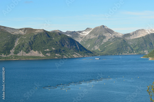 summer mountain peaks and blue fjord © Arcticphotoworks