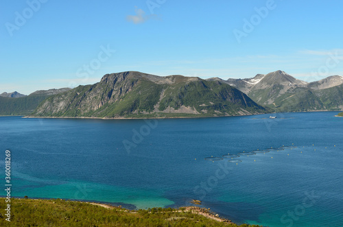 Fototapeta Naklejka Na Ścianę i Meble -  summer mountain peaks and blue fjord