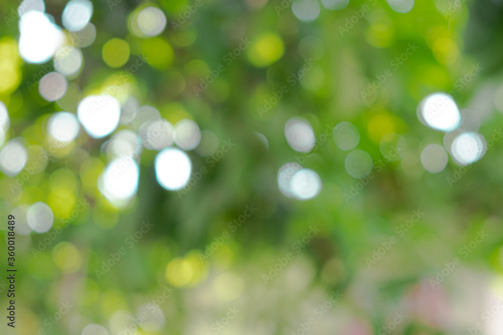 abstract blur image of green tree with sunlight for background, add lens flare abstract blur image of green tree with sunlight for background, add lens flare