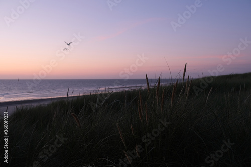 Island Texel Sunddown #4