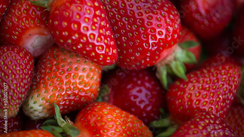 fresh Kashubian strawberries in closeup