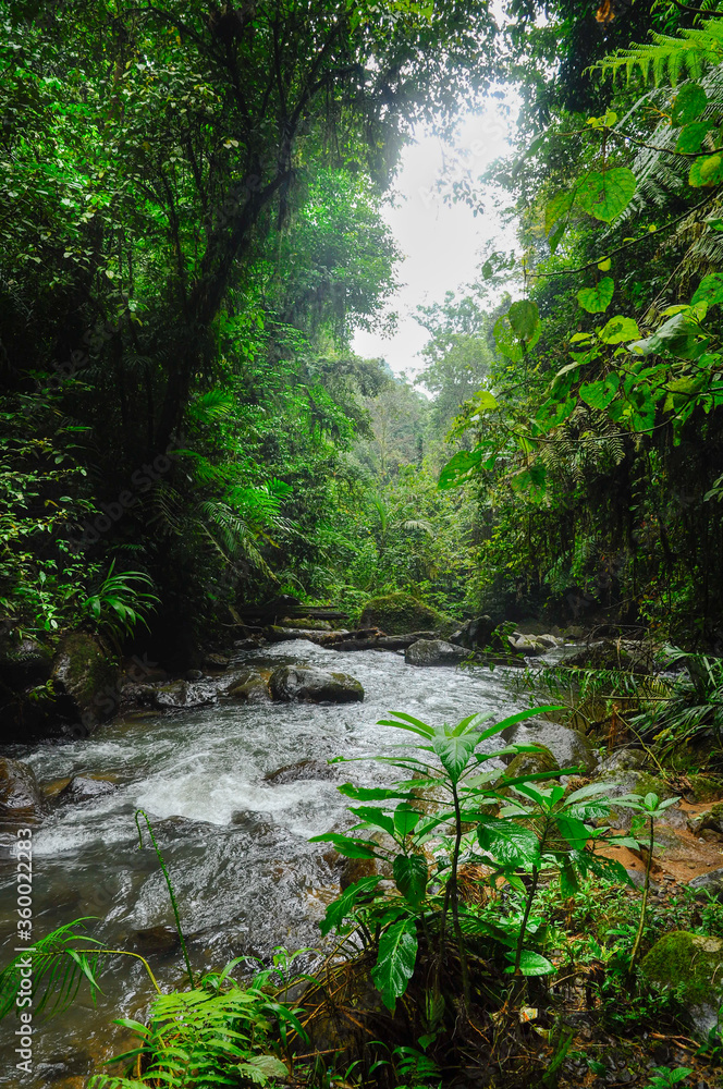 Beautiful river with black rocks passing through in the Indonesian jungle Beautiful river with black rocks passing through in the Indonesian jungle