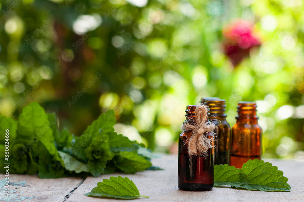 selection of essential oil bottles with melissa leaves on the nature blurred background with bokeh lights selection of essential oil bottles with melissa leaves on the nature blurred background with bokeh lights