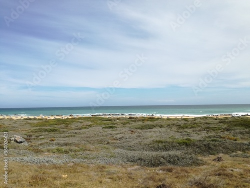 Cape Agulhas in South Africa
