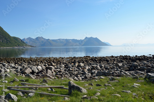 green sea shore, blue fjord and mighty mountains