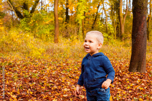 Pretty infant in autumn park among trees © oksix