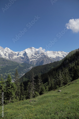 Swiss Alps © Beaver