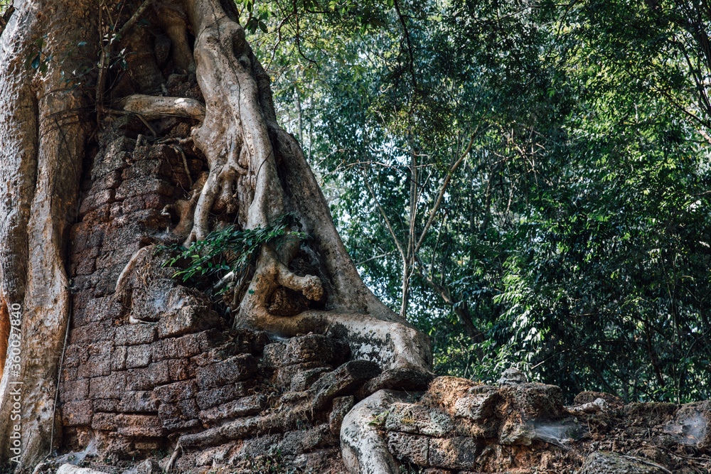 angkor wat siem reap cambodia