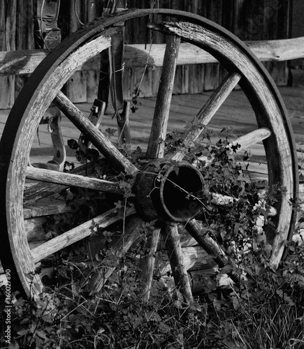 Wagon Wheel