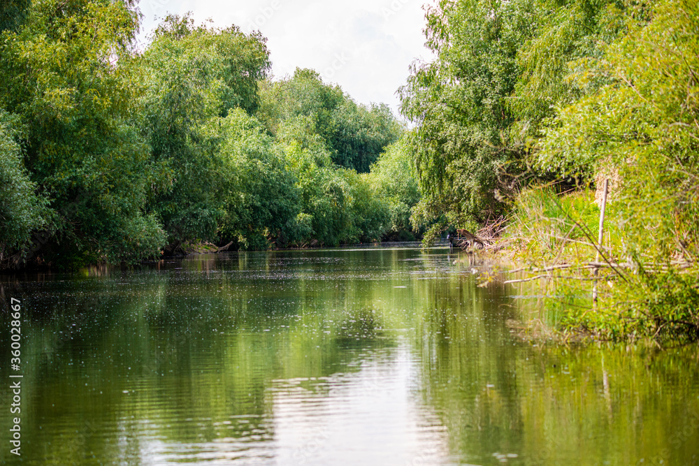 Danube Delta Landscape Danube Delta Landscape