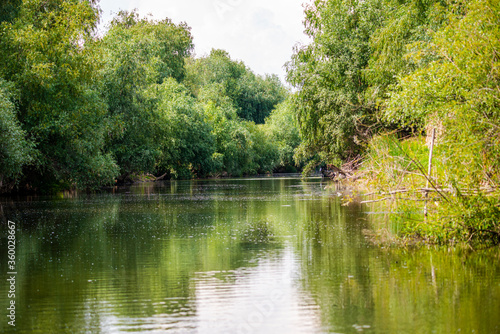 Danube Delta Landscape