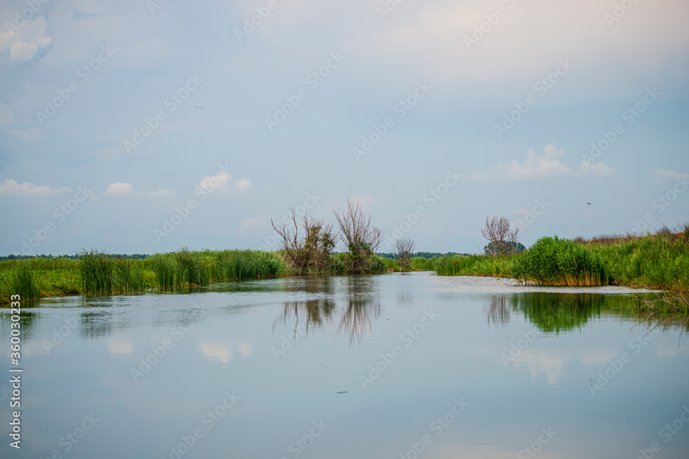 Danube Delta view