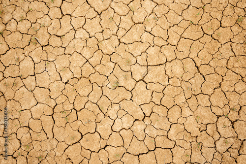 Cracked dry soil. Dry yellow clay soil. Fine texture.
